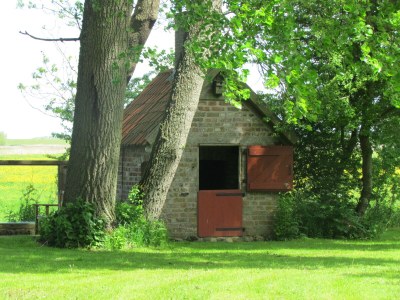 Apartment Historischer Davidshof - Outdoor photo 10