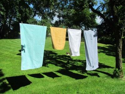 Apartment Historischer Davidshof - Outdoor photo 13