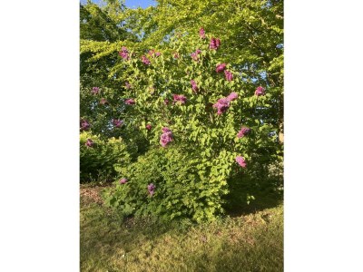 Apartment Historischer Davidshof - Outdoor photo 14