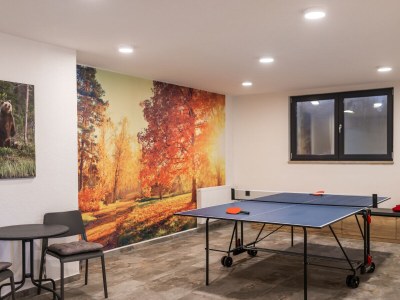 Holiday house Gorski brlog - the Bear - Environment photo 11