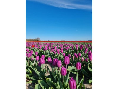 Holiday apartment Moana 2 - Environment photo 27