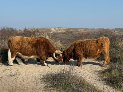 Holiday apartment Moana 2 - Environment photo 30