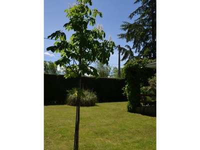 Chalet Cedrosierra - Outdoor photo 14