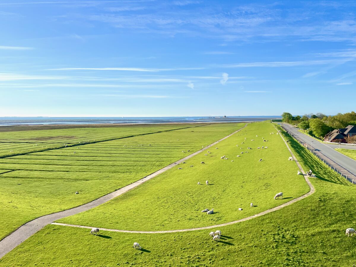 Holiday apartment pellworm living - Outdoor photo 3