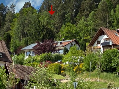 Apartment Klosterquelle in Baiersbronn - Apartment