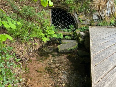 Apartment Klosterquelle - Outdoor photo 6