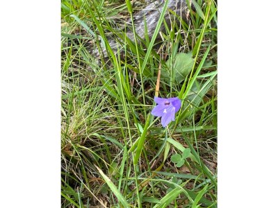 Apartment Klosterquelle - Outdoor photo 8