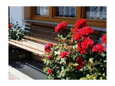 Holiday room Doppelzimmer Kaiserblick mit Dusche und WC - Outdoor photo 11