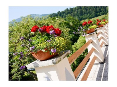 Holiday room Doppelzimmer Kaiserblick mit Dusche und WC - Outdoor photo 12
