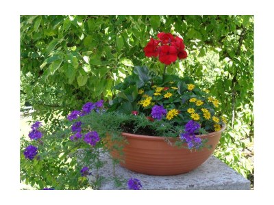 Holiday room Doppelzimmer Kaiserblick mit Dusche und WC - Outdoor photo 16