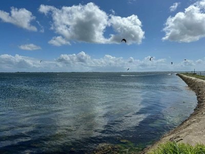 Apartment Apartment in Orth - Environment photo 29