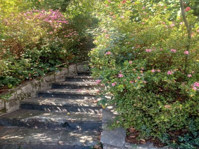 Holiday house Villa in Valdora mit Blick auf den Lago Maggiore - Outdoor photo 2