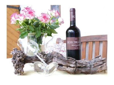 Holiday apartment 4 Sterne Ferienwohnungen  Weber - Outdoor photo 4