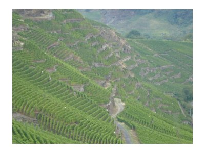 Holiday apartment 4 Sterne Ferienwohnungen  Weber - Environment photo 9