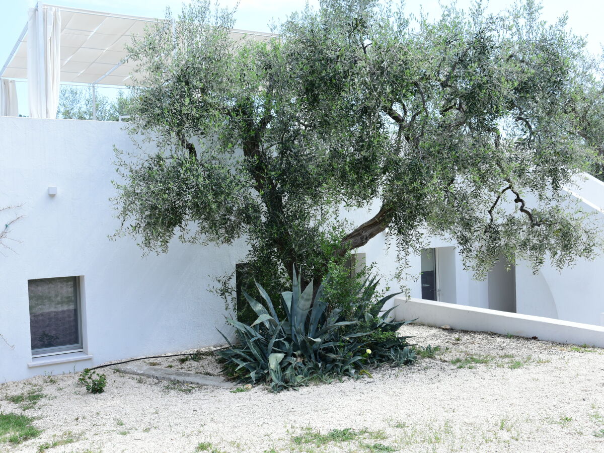 Villa Villa Impero - Outdoor photo 2