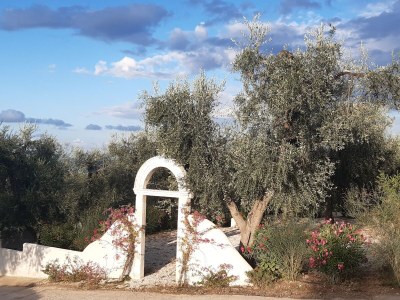 Villa Villa Impero - Environment photo 12