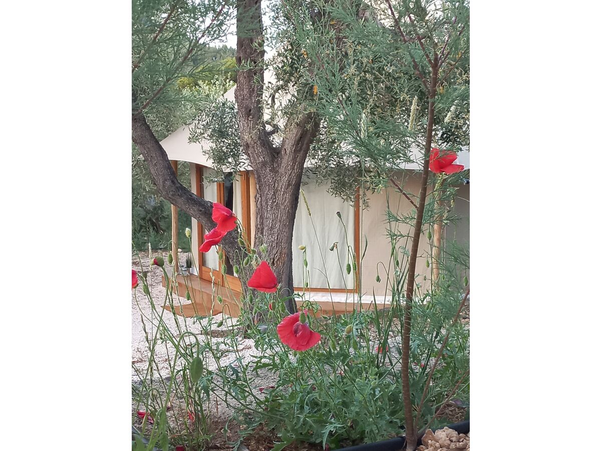 Mobile home Glamping Tent - Outdoor photo 3