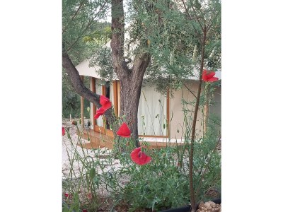 Mobile home Glamping Tent - Outdoor photo 3