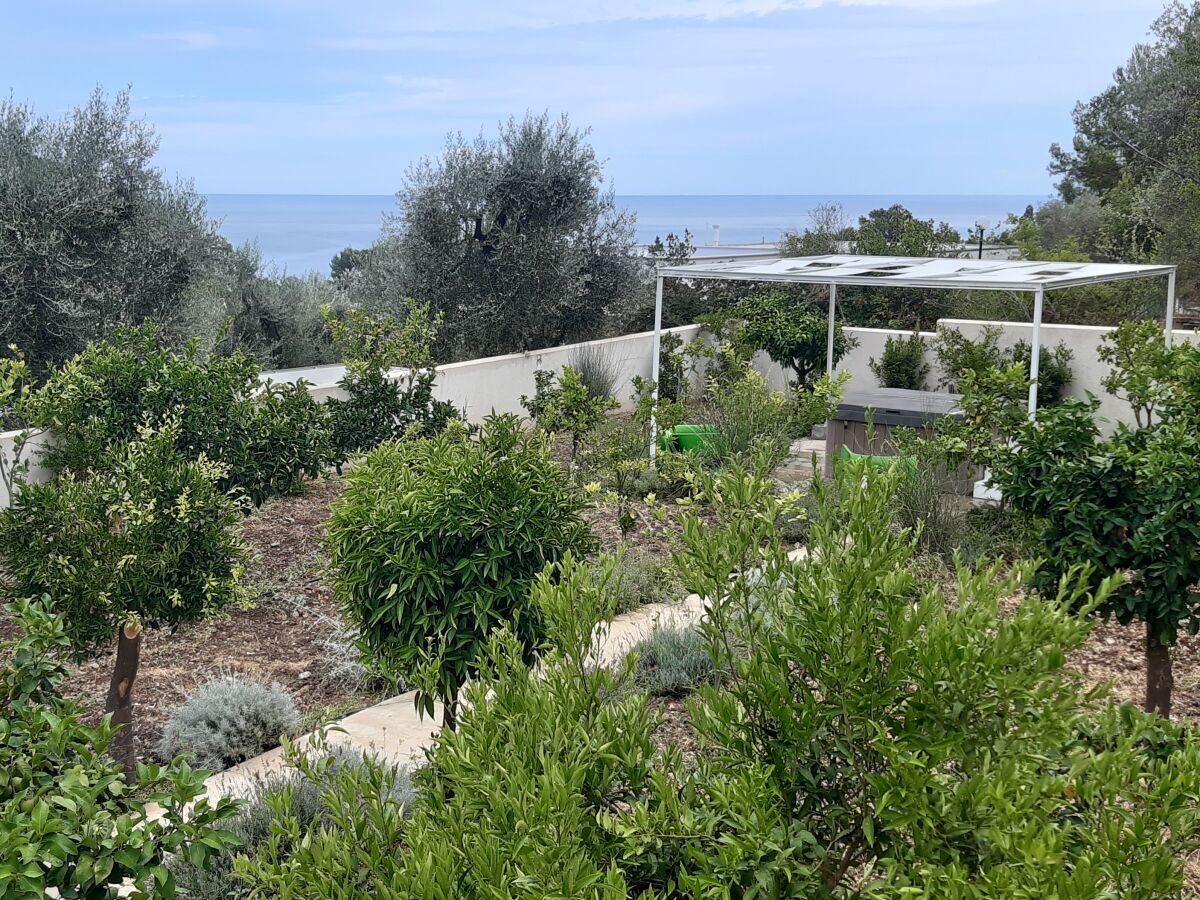 Holiday apartment Suite "Orientale" - Outdoor photo 3