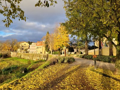 Holiday house Casa Acqua Dolce - Environment photo 40