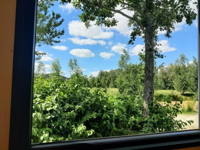 Holiday house Holiday Home in Netherlands for a Peaceful Retreat - Outdoor photo 11