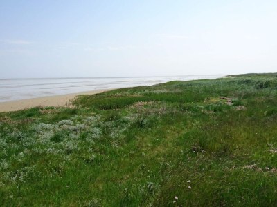 Holiday house 6 Personen Ferienhaus in Hadsund - Outdoor photo 20