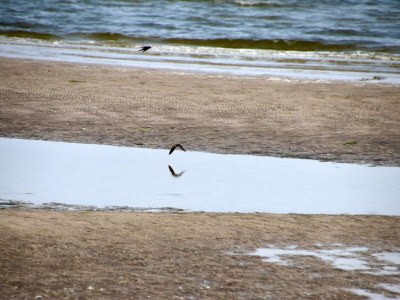 Holiday house 6 Personen Ferienhaus in Hadsund - Outdoor photo 25
