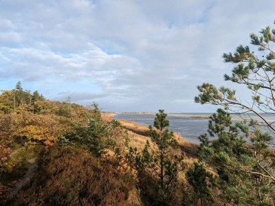 Holiday house 6 Personen Ferienhaus in Hadsund - Outdoor photo 29