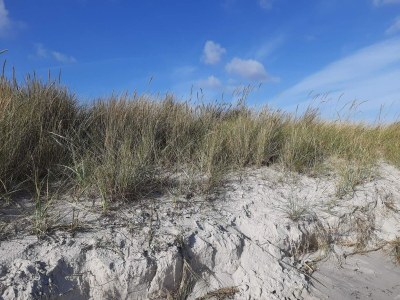 Holiday house 6 Personen Ferienhaus in Hadsund - Outdoor photo 39