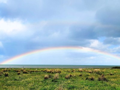 Holiday house 6 Personen Ferienhaus in Hadsund - Outdoor photo 41