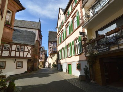 Holiday house Bemerkenswertes Ferienhaus in Ürzig - Outdoor photo 4