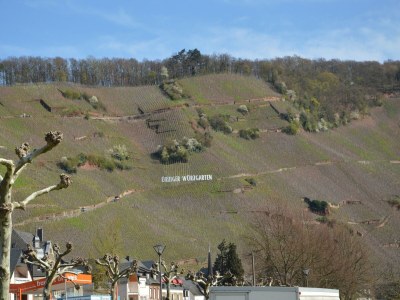 Holiday house Bemerkenswertes Ferienhaus in Ürzig - Environment photo 35