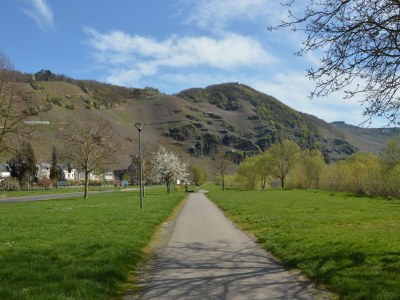 Holiday house Bemerkenswertes Ferienhaus in Ürzig - Environment photo 36