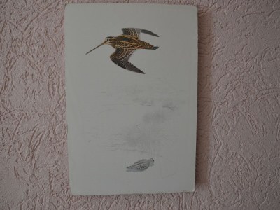 Holiday house Bemerkenswertes Ferienhaus in Ürzig - Outdoor photo 37