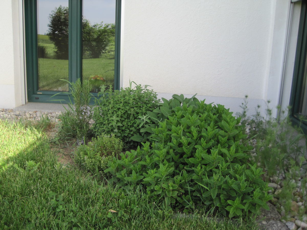 Holiday apartment Stadler - Outdoor photo 4