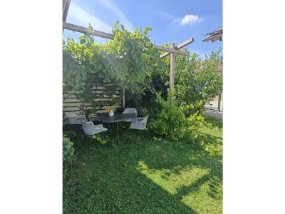 Holiday apartment Stadler - Outdoor photo 11