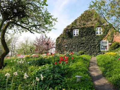 Holiday house "Ferienwarft 'Elisabeth'" - Outdoor photo 2