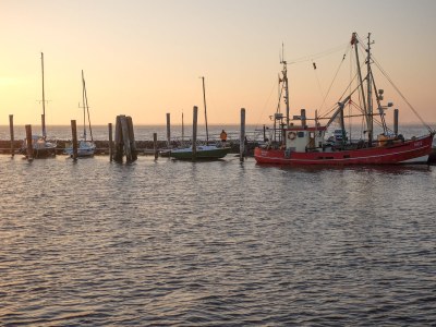 Holiday house "Ferienwarft 'Elisabeth'" - Environment photo 18