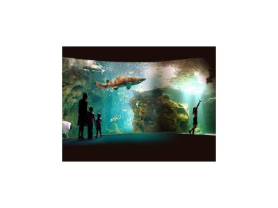 Holiday park Villa in France with Pool and Private Garden - Environment photo 23