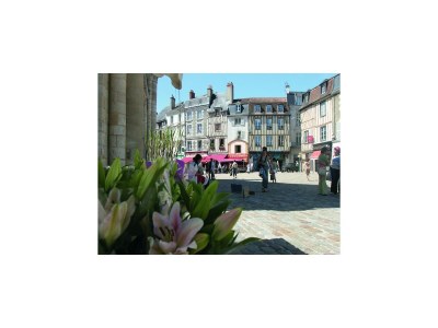 Holiday park Villa in France with Pool and Private Garden - Environment photo 24