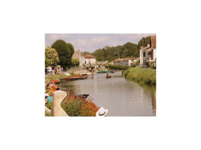 Holiday park Villa in France with Pool and Private Garden - Environment photo 36