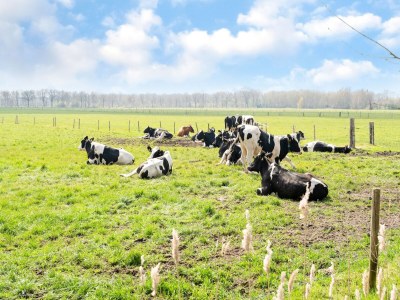 Holiday house Holiday Home in Elim near Slagharen Park - Environment photo 15