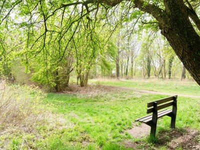 Holiday house Holiday Home in Elim near Slagharen Park - Environment photo 17