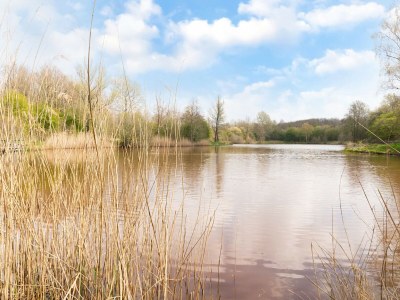 Holiday house Holiday Home in Elim near Slagharen Park - Environment photo 18