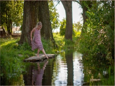 Holiday house Holiday Home in Elim near Slagharen Park - Environment photo 20