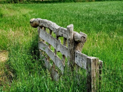 Holiday house Holiday Home in Elim near Slagharen Park - Environment photo 28