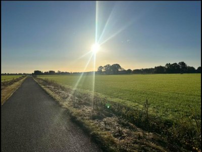 Holiday house Holiday Home in Elim near Slagharen Park - Environment photo 29