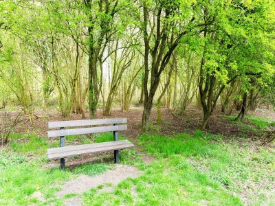 Holiday house Holiday Home in Elim near Slagharen Park - Environment photo 30