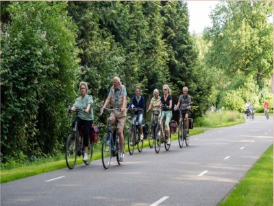 Holiday house Holiday Home in Elim near Slagharen Park - Environment photo 31