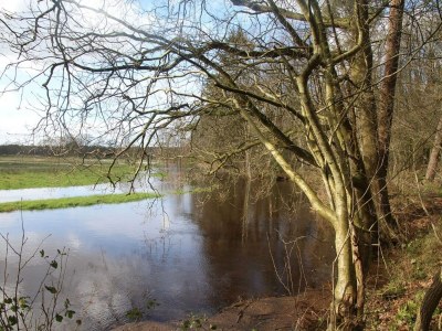 Holiday house Holiday Home in Elim near Slagharen Park - Environment photo 34